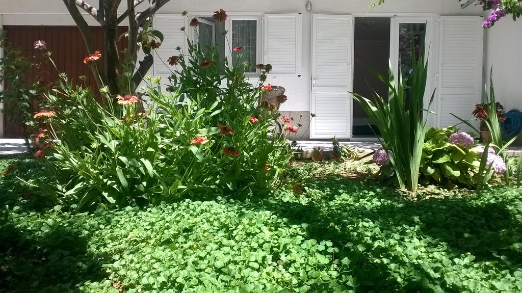 Apartment Andelka 오미스 외부 사진